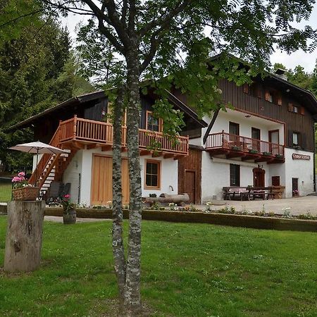 Maso Kofler Villa Rumo Rum bild